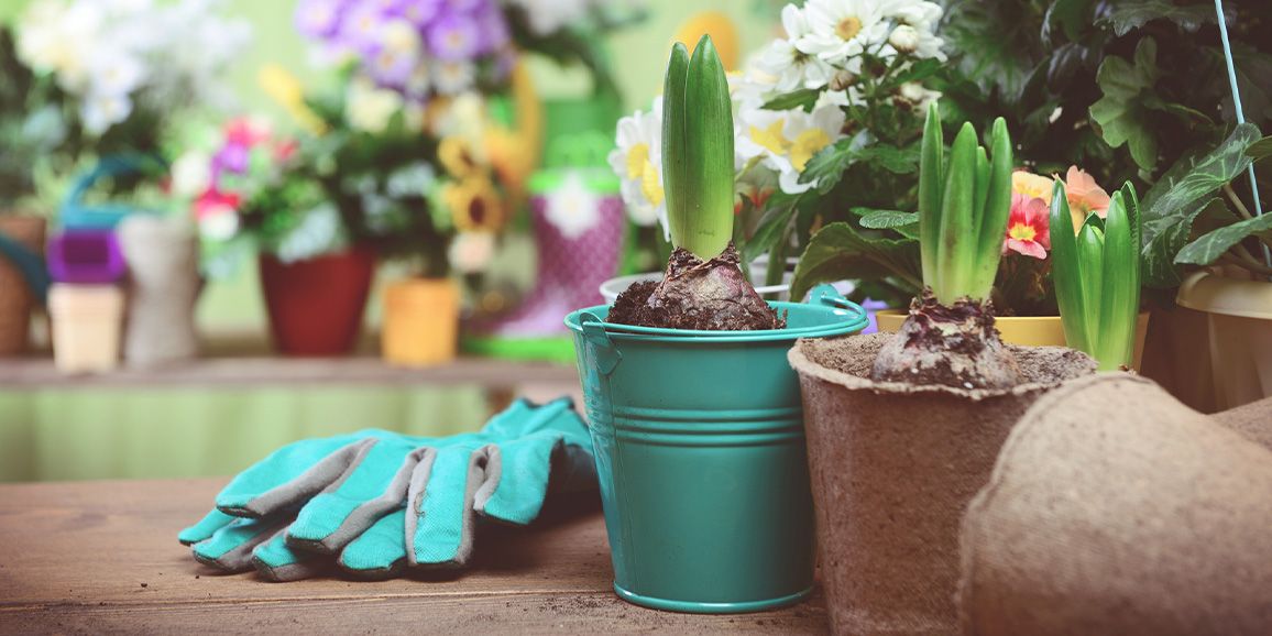 auf Deine Bestellung