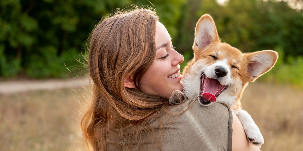 auf Hundefutter und mehr