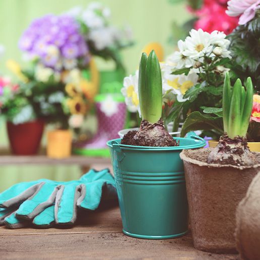 auf Deine Bestellung