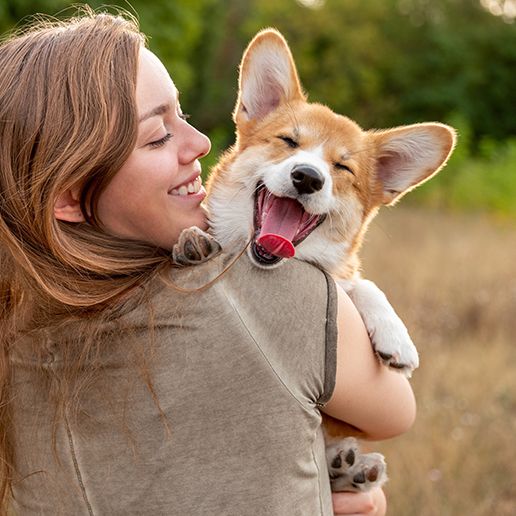 auf Hundefutter und mehr