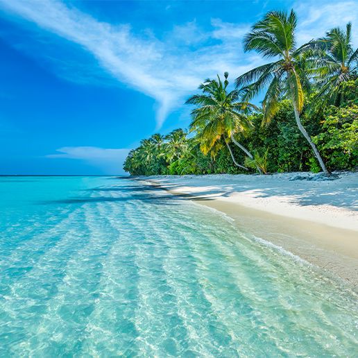 auf deine Hotelbuchung